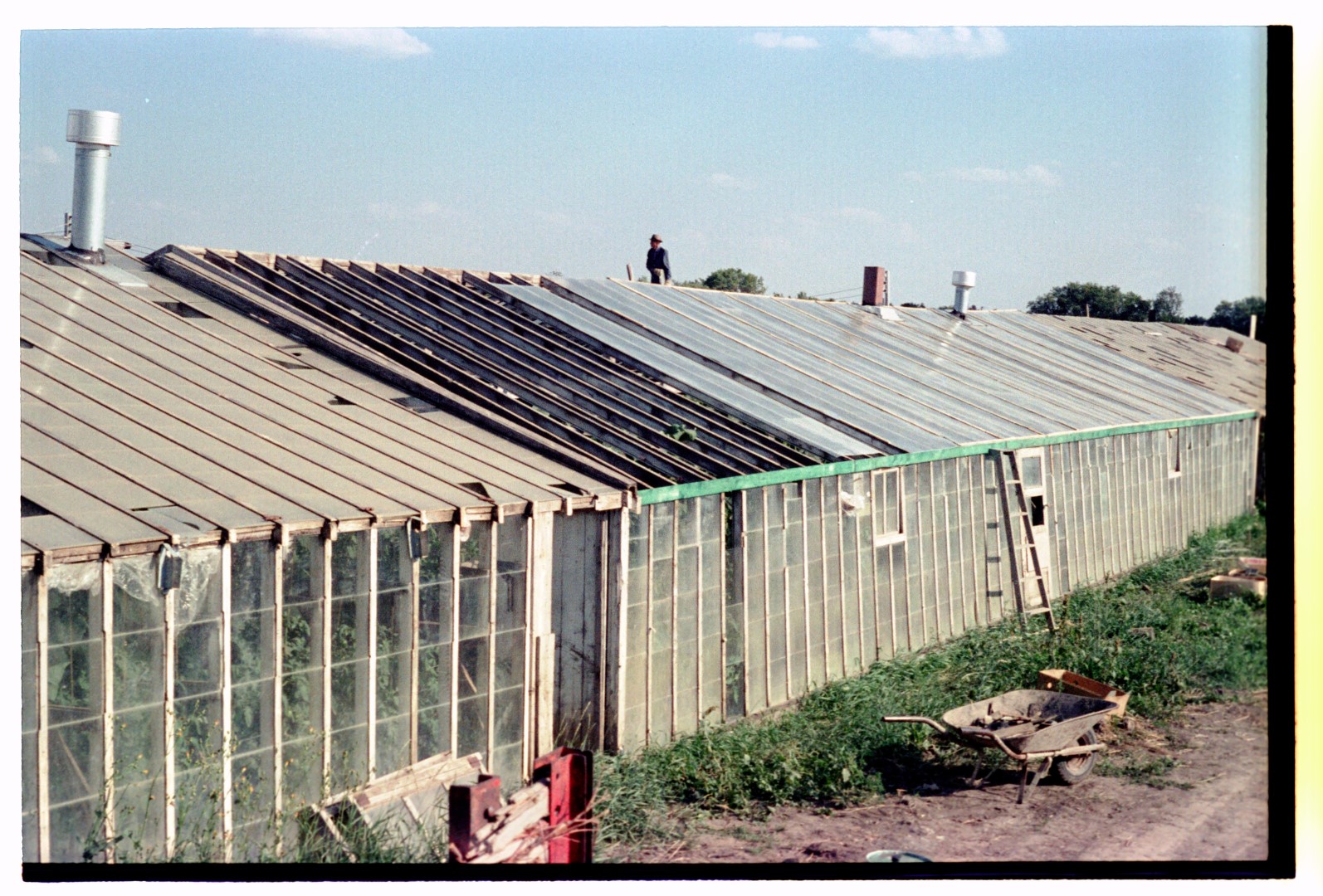 Floral Acres Saskatoon Greenhouse and Garden Centre